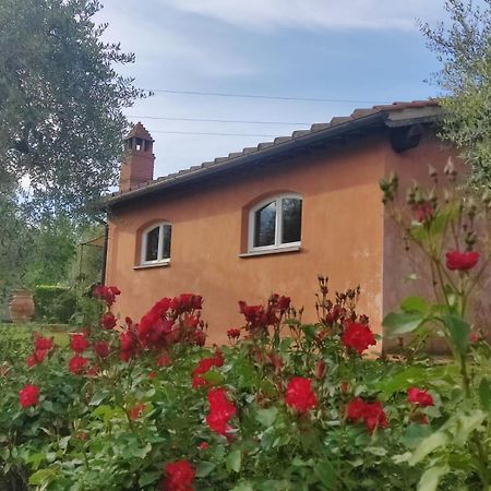 テッラヌオーヴァ・ブラッチョリーニ La Casa Delle Roseヴィラ エクステリア 写真