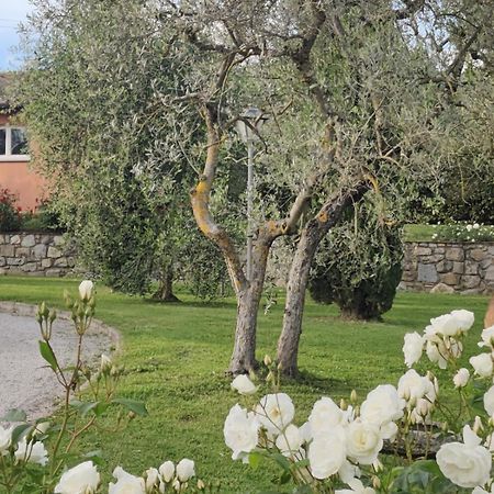 テッラヌオーヴァ・ブラッチョリーニ La Casa Delle Roseヴィラ エクステリア 写真