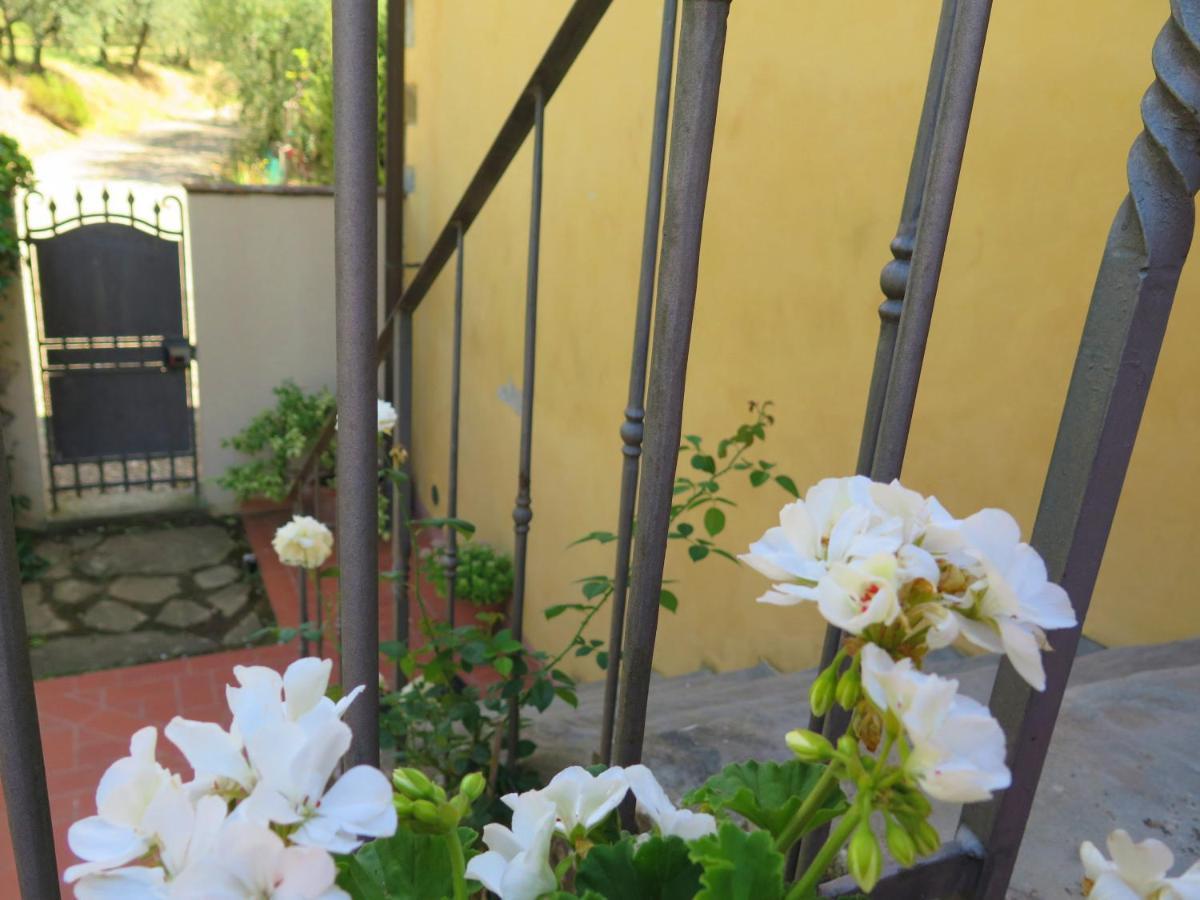 テッラヌオーヴァ・ブラッチョリーニ La Casa Delle Roseヴィラ エクステリア 写真