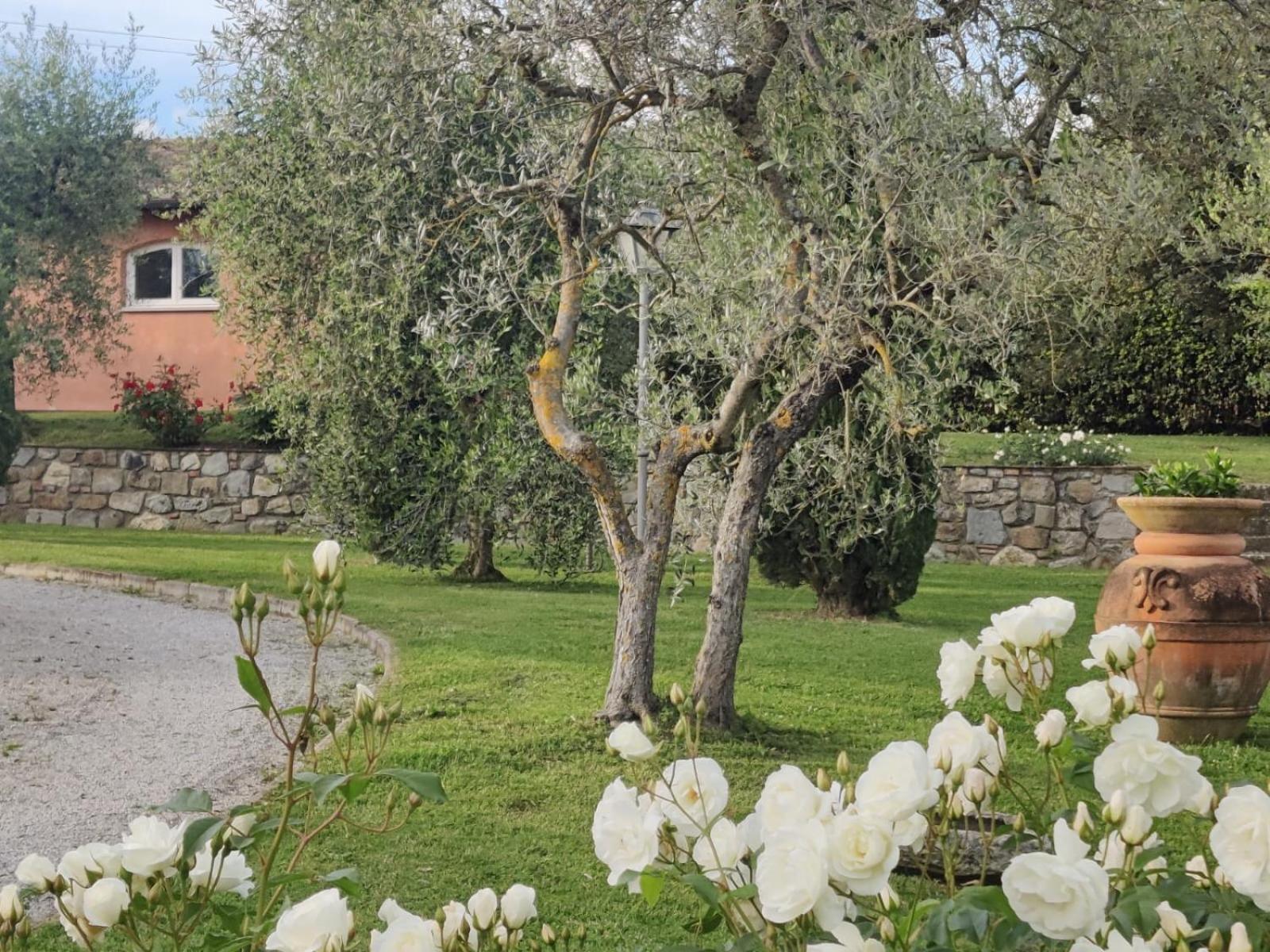 テッラヌオーヴァ・ブラッチョリーニ La Casa Delle Roseヴィラ エクステリア 写真